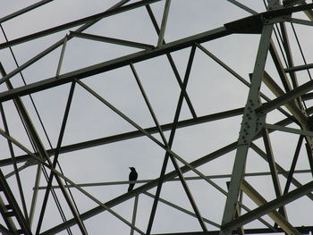 Low angle view of silhouette crane against sky