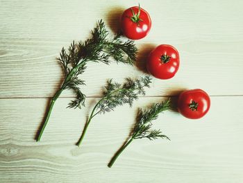 Directly above shot of tomatoes by herbs on wooden table