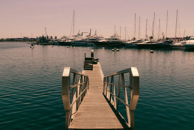 Sailboats moored in marina against sky