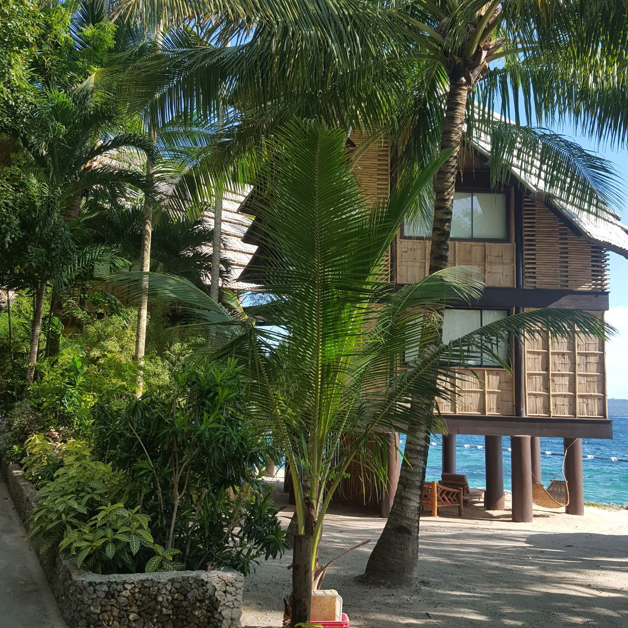 PALM TREES AND PLANTS AGAINST BUILDING