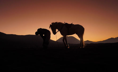 Silhouette horse on field against sky during sunset