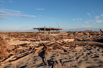 Panoramic view of people on beach against sky