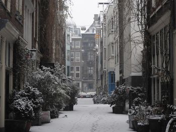 Street amidst buildings in city during winter