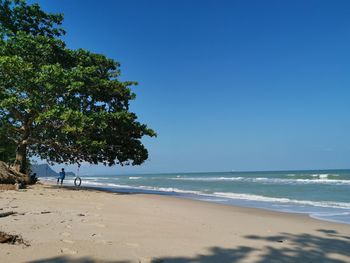 Scenic view of sea against clear blue sky