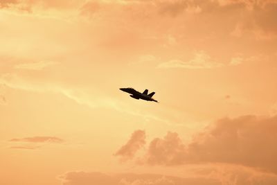 Low angle view of silhouette birds flying in sky