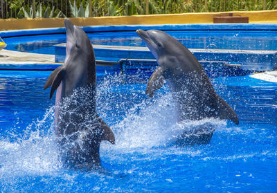 Water splashing in a swimming pool