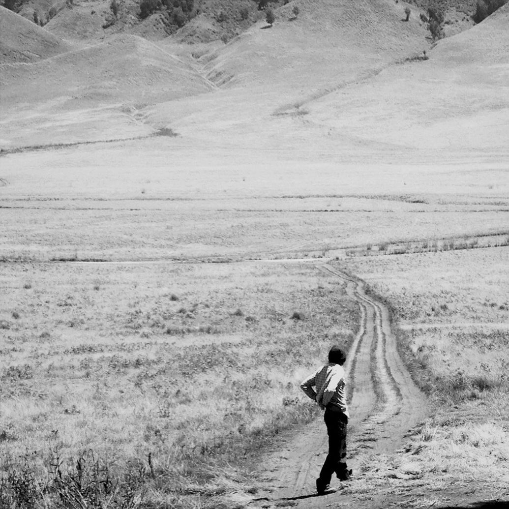 full length, lifestyles, leisure activity, walking, casual clothing, rear view, men, landscape, backpack, standing, nature, adventure, field, young adult, day, side view, person, hiking