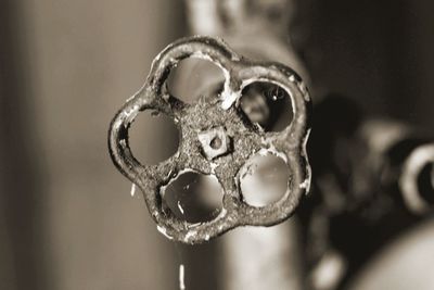 Close-up of human skull