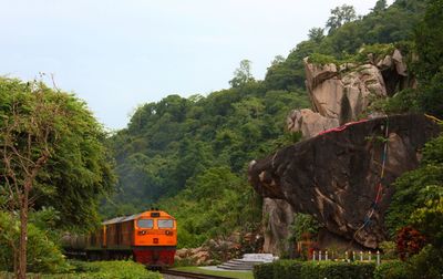 View of trees and rocks against sky