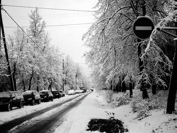 Snow covered trees against sky