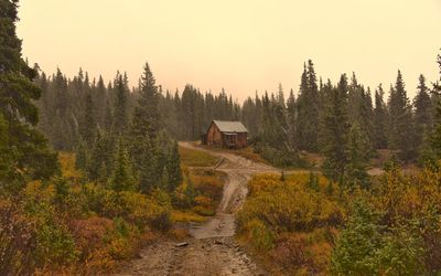 Dirt road amidst trees and buildings against sky