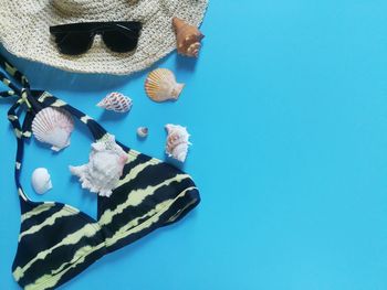 High angle view of seashell on blue background