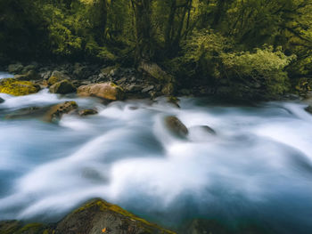 nature