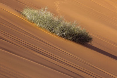 High angle view of sand dune on field