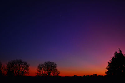 Silhouette trees against clear sky at sunset