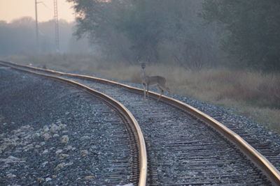 View of railroad tracks against sky