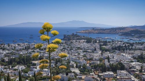 Aerial view of townscape by sea against sky