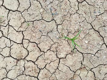 Full frame shot of cracked land