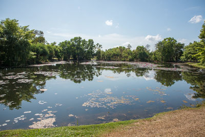 Scenic view of wetland lake against sky