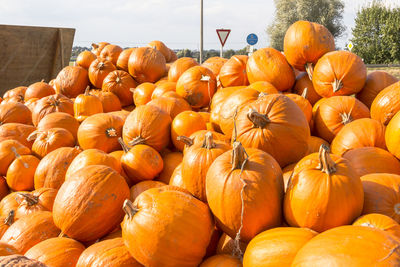 Close-up of pumpkins for sale