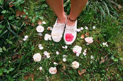 Low section of woman standing by white flowers at park