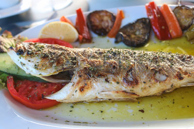 Close-up of food served in plate