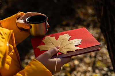 Close-up of hand holding maple leaf during autumn