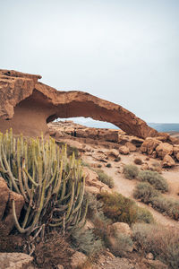 Scenic view of desert against sky