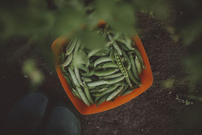 Ripe green peas in container