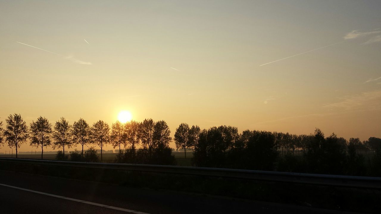 tree, sunset, transportation, road, silhouette, sun, tranquility, tranquil scene, scenics, beauty in nature, landscape, nature, sky, clear sky, sunlight, copy space, road marking, country road, idyllic, outdoors