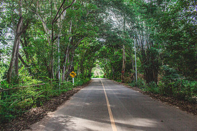 Empty road amidst trees in forest