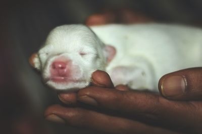 Close-up of hand holding hands