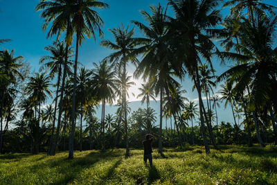 Palm trees on field against sky