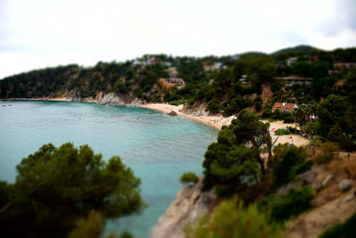 Tilt-shift image of trees by sea against sky