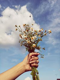 Low angle view of hand holding flowering plant against sky