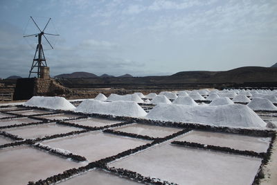 Flock of birds on land against sky