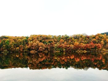 Trees by lake against clear sky during autumn