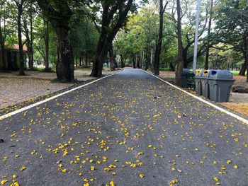Road amidst leaves in park during autumn