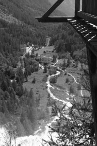 High angle view of street amidst trees in forest