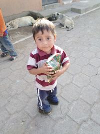 Portrait of boy holding ice cream on footpath