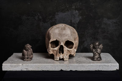 Close-up of human skull