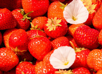 Full frame shot of strawberries in market