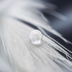 Close-up of water on table