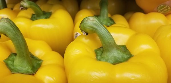 Close-up of yellow bell peppers for sale at market stall