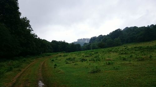 Scenic view of field against sky