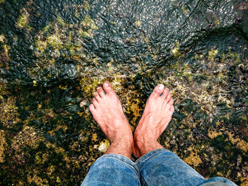 Low section of man standing in sea