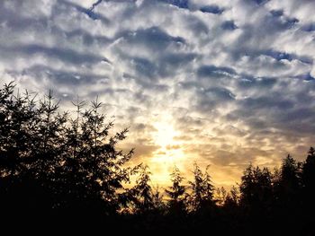 Low angle view of silhouette trees against sky during sunset
