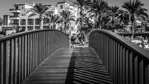 Staircase leading towards palm trees against building