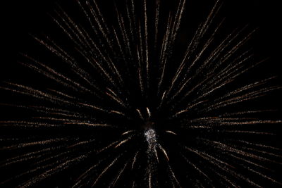 Low angle view of firework display at night