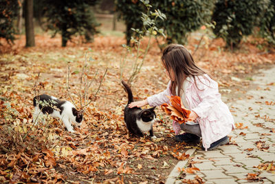 Girl playing with autumn leaves